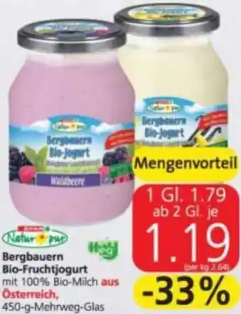 Spar Bergbauern Bio-Fruchtjoghurt 450 g Angebot