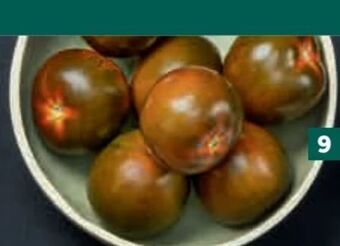 Billa Tomaten Angebot