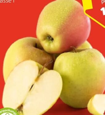 Hofer Äpfel berggolden Angebot