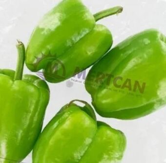 ETSAN Runde paprika Angebot
