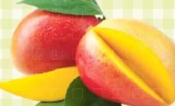 Maximarkt Mango Angebot