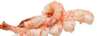 Transgourmet Seawater garnelen Angebot