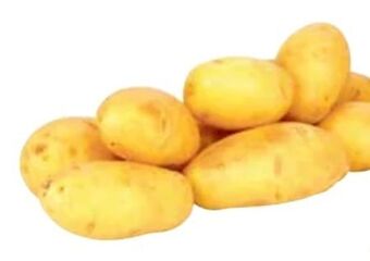 Transgourmet Kartoffeln Angebot