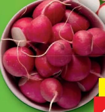 Lidl Snack radieschen Angebot