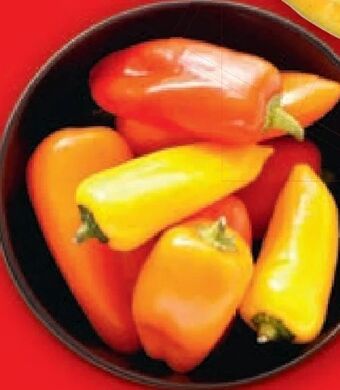 Lidl Mini paprika mix Angebot
