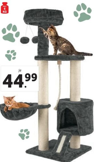Lidl Kratzbaum Angebot