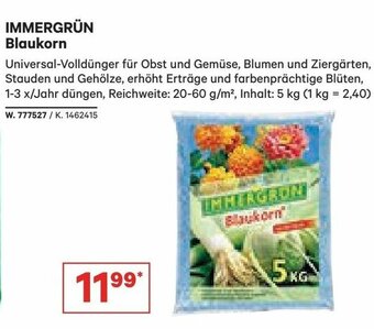 Lagerhaus Immergrün Blaukorn Angebot
