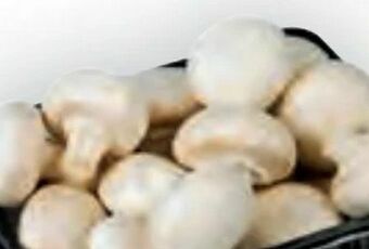 Billa Champignons Angebot
