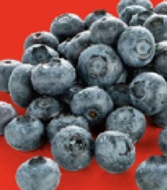 Hofer Heidelbeeren Angebot