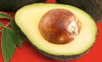 Hofer Iss reif! avocados Angebot