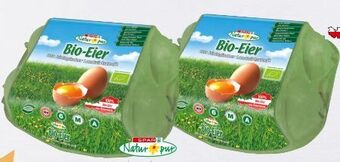 Spar Bio-eier Angebot