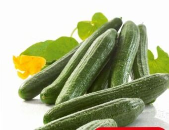 Spar Gurken Angebot
