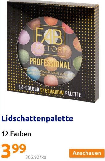 Action Lidschattenpalette 12 Farben Angebot