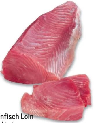 Metro Thunfisch loins Angebot