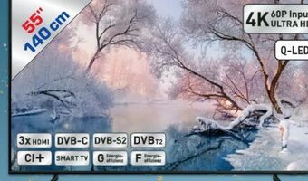 Metro Qled tv 55q60b Angebot