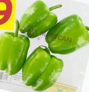 ETSAN Runde paprika Angebot