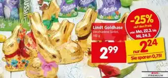 Interspar Lindt Goldhase 100g Angebot