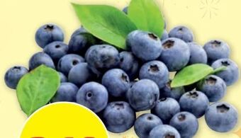 PENNY Heidelbeeren Angebot