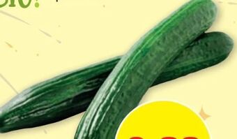 PENNY Gurken Angebot