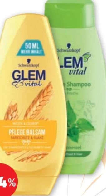 PENNY Glem vital shampoo Angebot