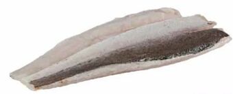 Transgourmet Kap seehechtfilet Angebot