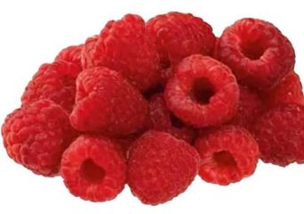 Transgourmet Himbeeren Angebot