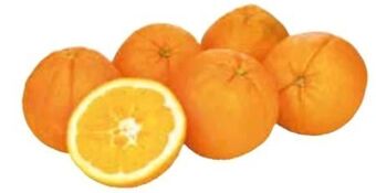 Transgourmet Bio orangen Angebot