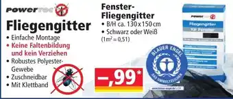 Norma Power Fliegengitter Angebot