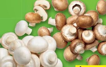 Lidl Champignons Angebot