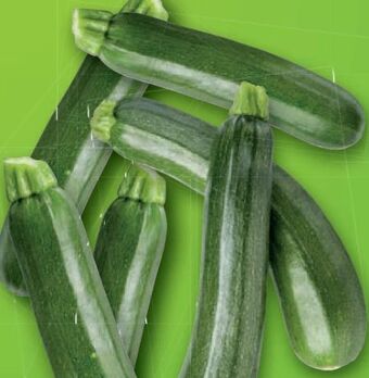 Lidl Zucchini Angebot