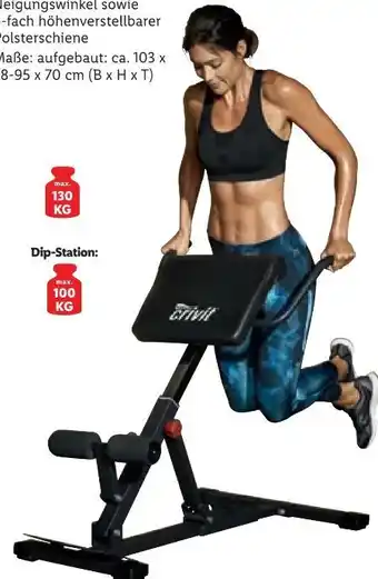 Lidl Multi-trainer Angebot