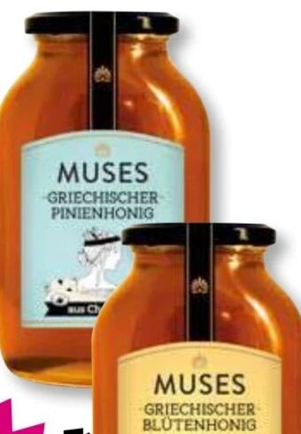 Norma Griechischer honig Angebot