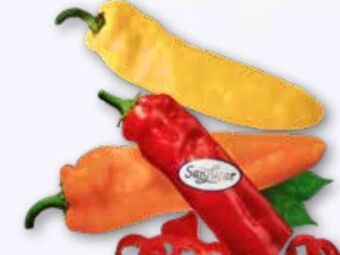 ADEG Spitzpaprika ramiro Angebot