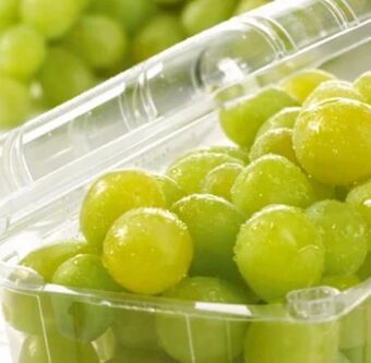 Spar Trauben Angebot