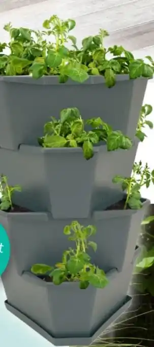 OTTO Pflanzkübel paul potato Angebot