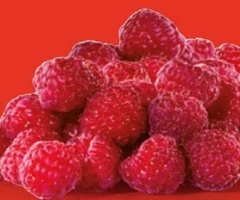 Hofer Himbeeren Angebot