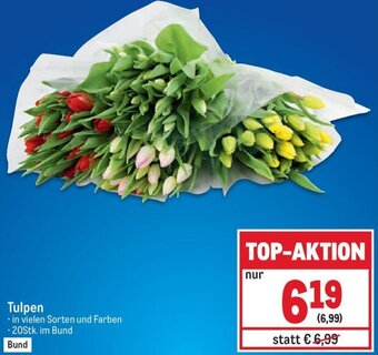 Metro Tulpen Angebot