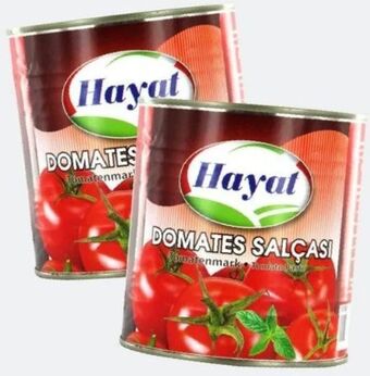 ETSAN Tomatenmark Angebot