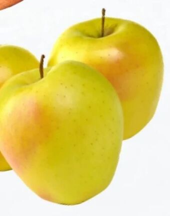 ETSAN Apfel golden delicious Angebot