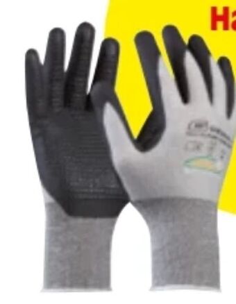 Zgonc Handschuhe multiflex touch Angebot