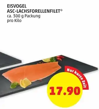 PENNY Eisvogel Asc-Lachsforellenfilet 300 g Angebot