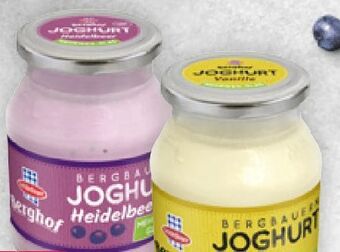 Billa Berghof joghurt Angebot