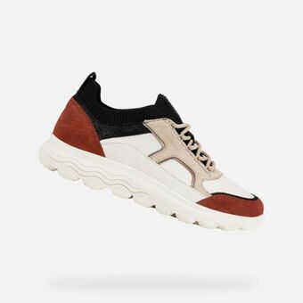 Geox Spherica dame Angebot
