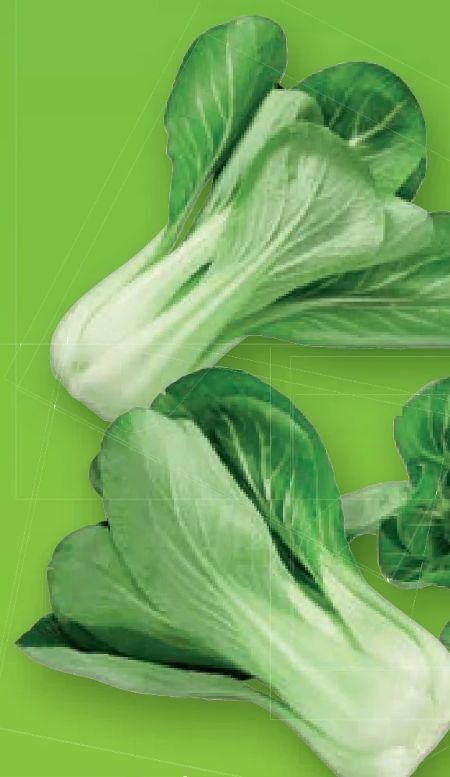 Pak choi Angebot bei Lidl