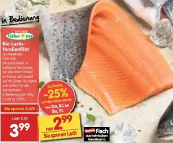 Interspar Natur Pur Bio-Lachsforellenfilet 100 g Angebot