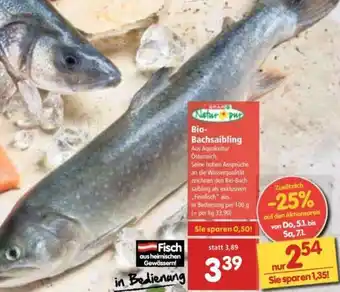 Interspar Natur Pur Bio-Bachsaibling 100g Angebot