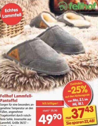 Interspar Fellhof Lammfell-Pantoffel Angebot