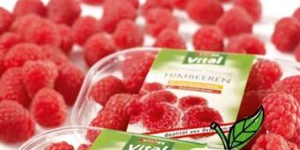 Spar Himbeeren Angebot