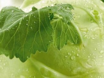 Spar Kohlrabi Angebot