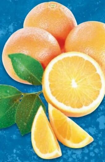 Metro Orangen Angebot